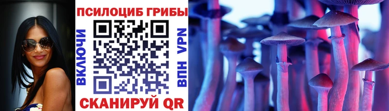 Псилоцибиновые грибы мухоморы Нижний Новгород